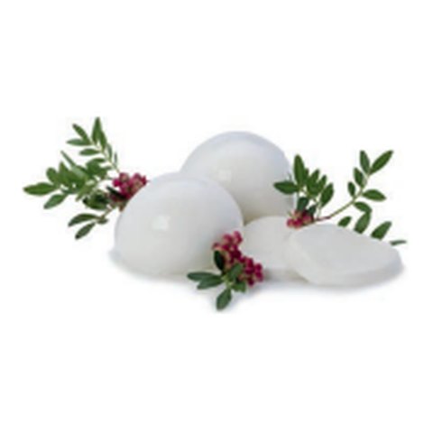 Frozen Mozzarella Italian fresh cheese